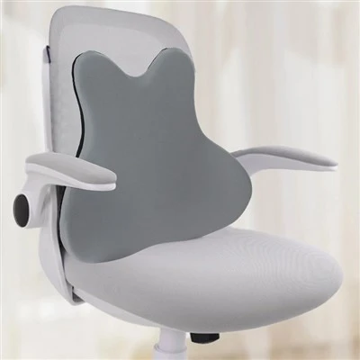 Coixí ergonòmic de doble-esquena ajustable